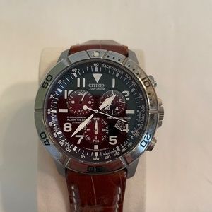 Mens Citizen EcoDrive Watch